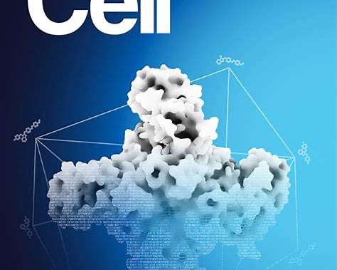 Cover of the scientific journal Cell